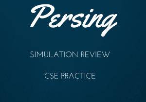 Persing Simulation